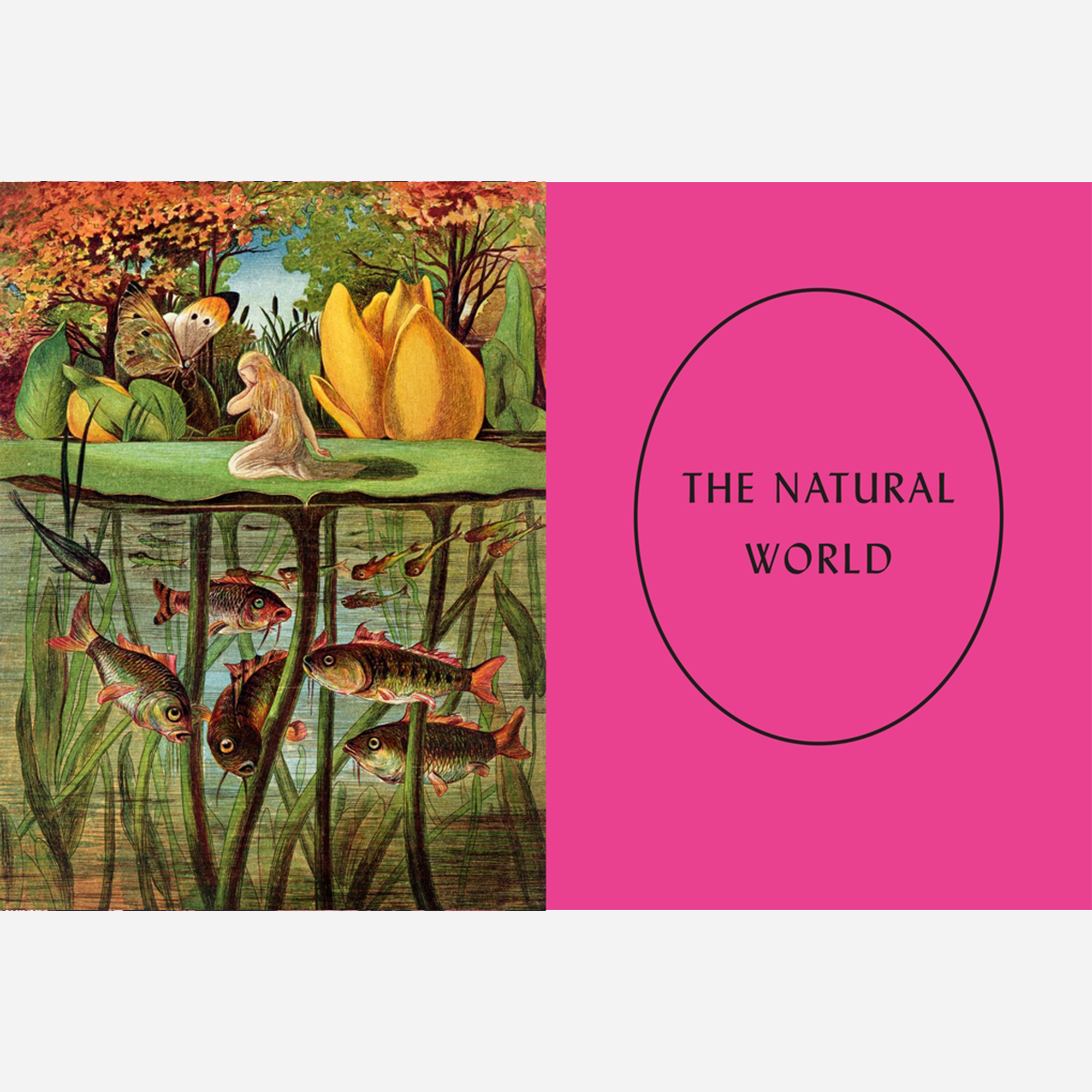 An interior section header of The Natural World, with an illustration of a miniature woman on a lilypad. 